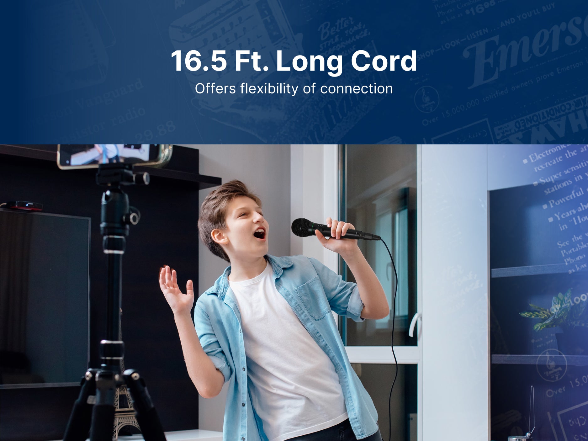 Professional Wireless Microphone