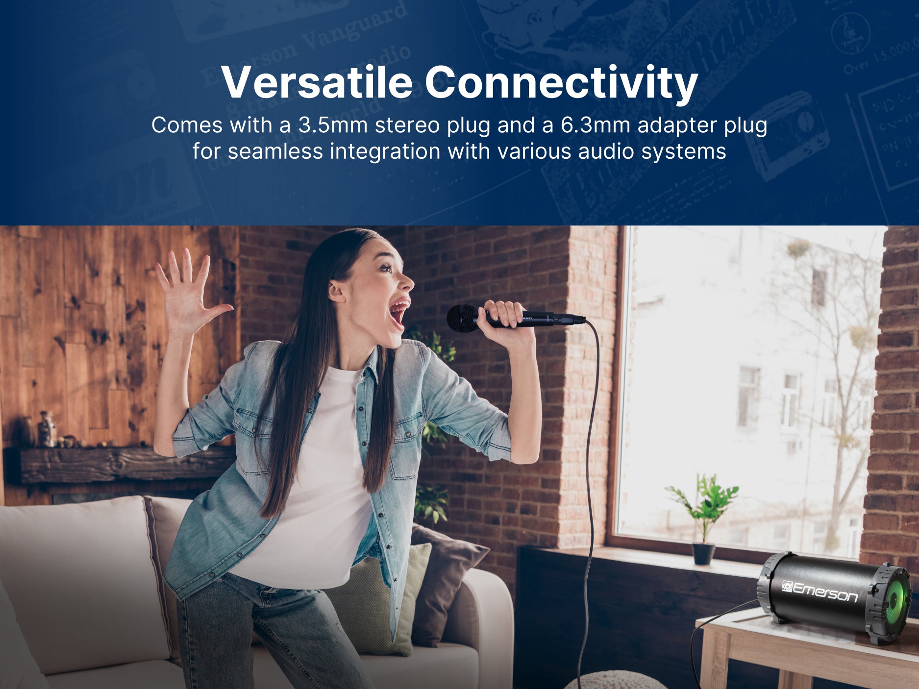 Professional Wireless Microphone