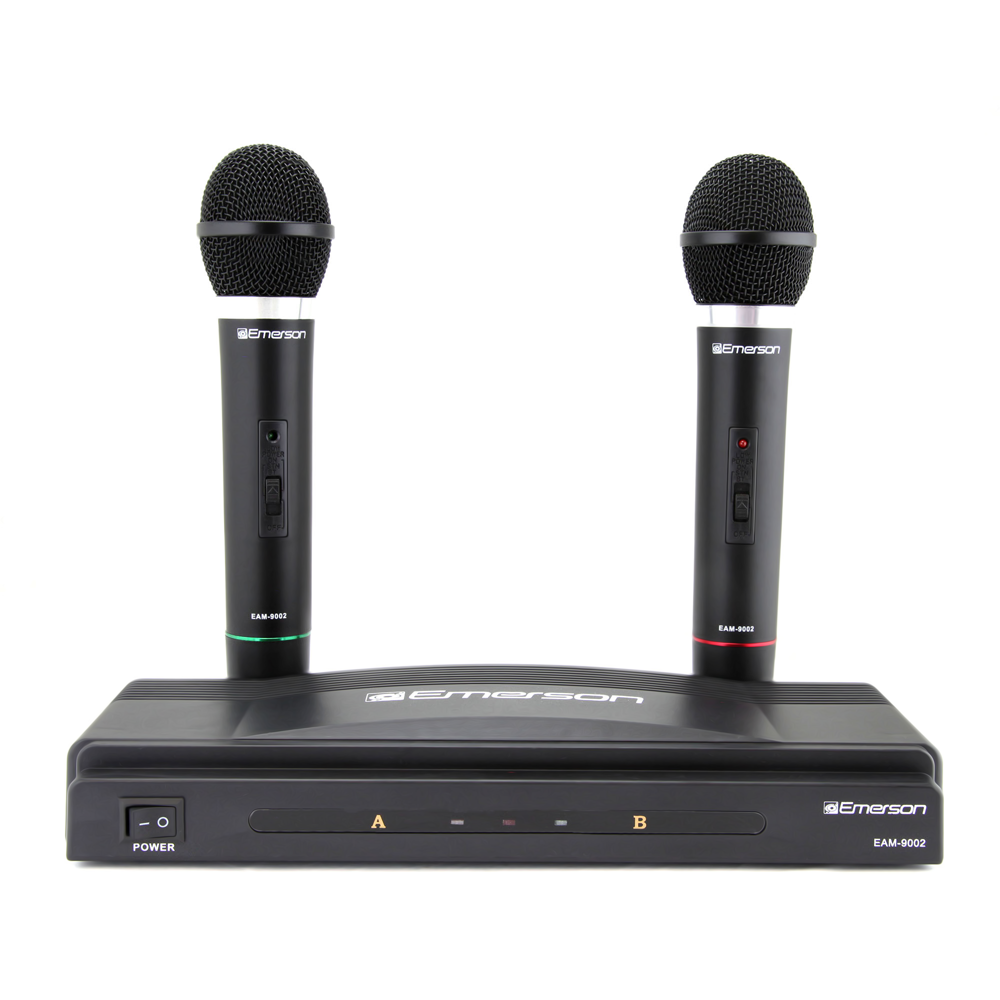 Professional Dual Wireless Microphone