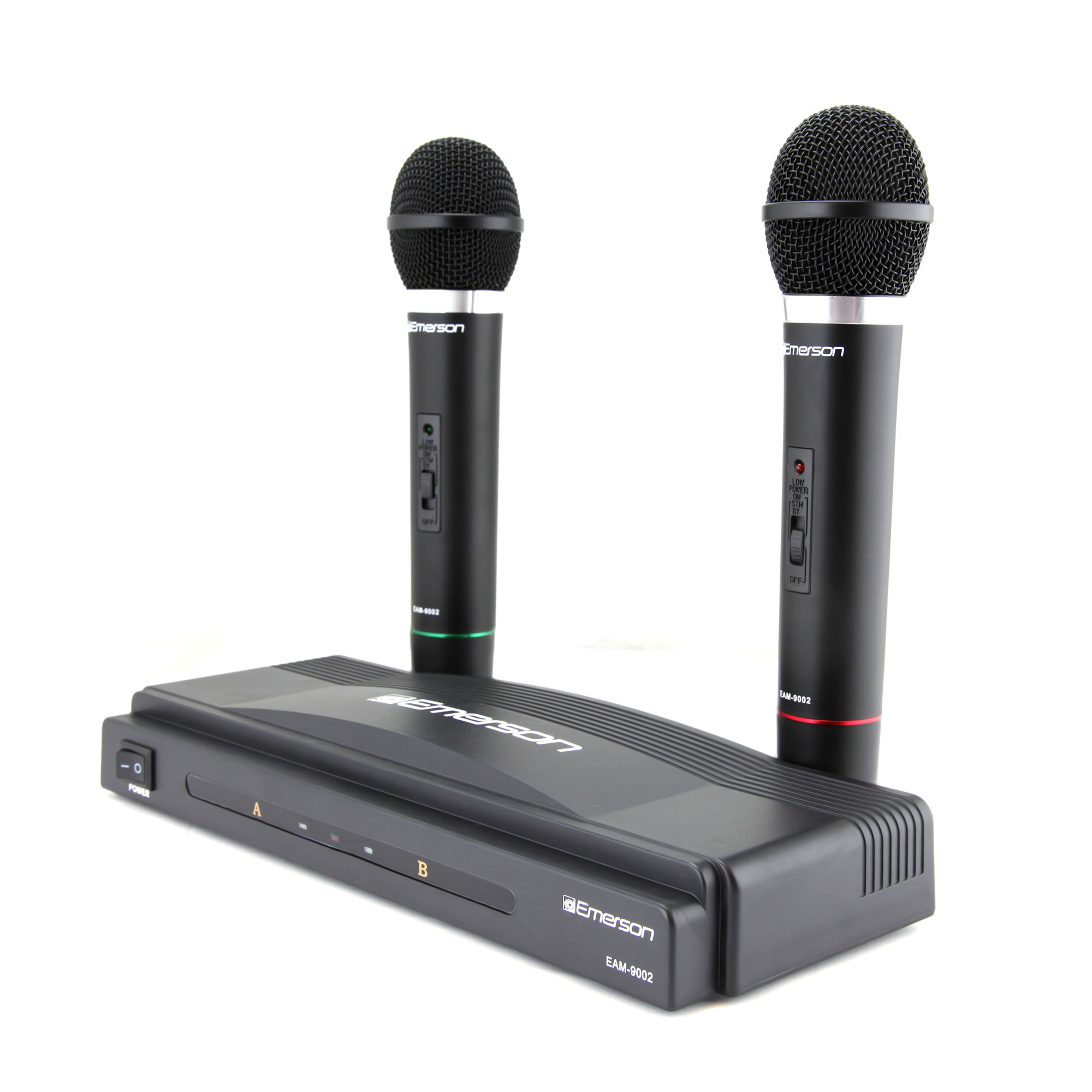 Professional Dual Wireless Microphone