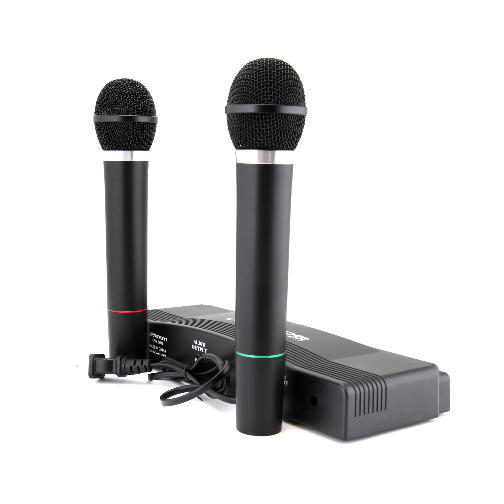 Professional Dual Wireless Microphone
