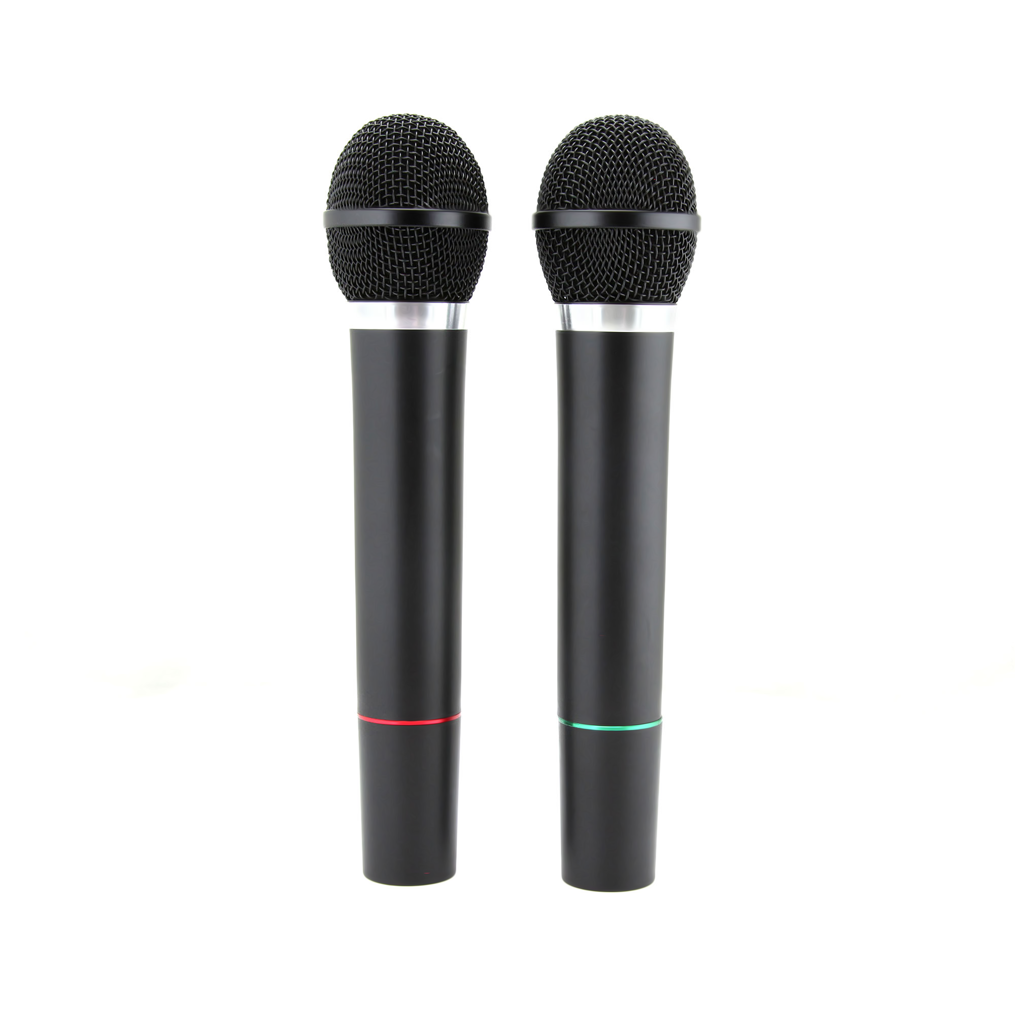 Professional Dual Wireless Microphone