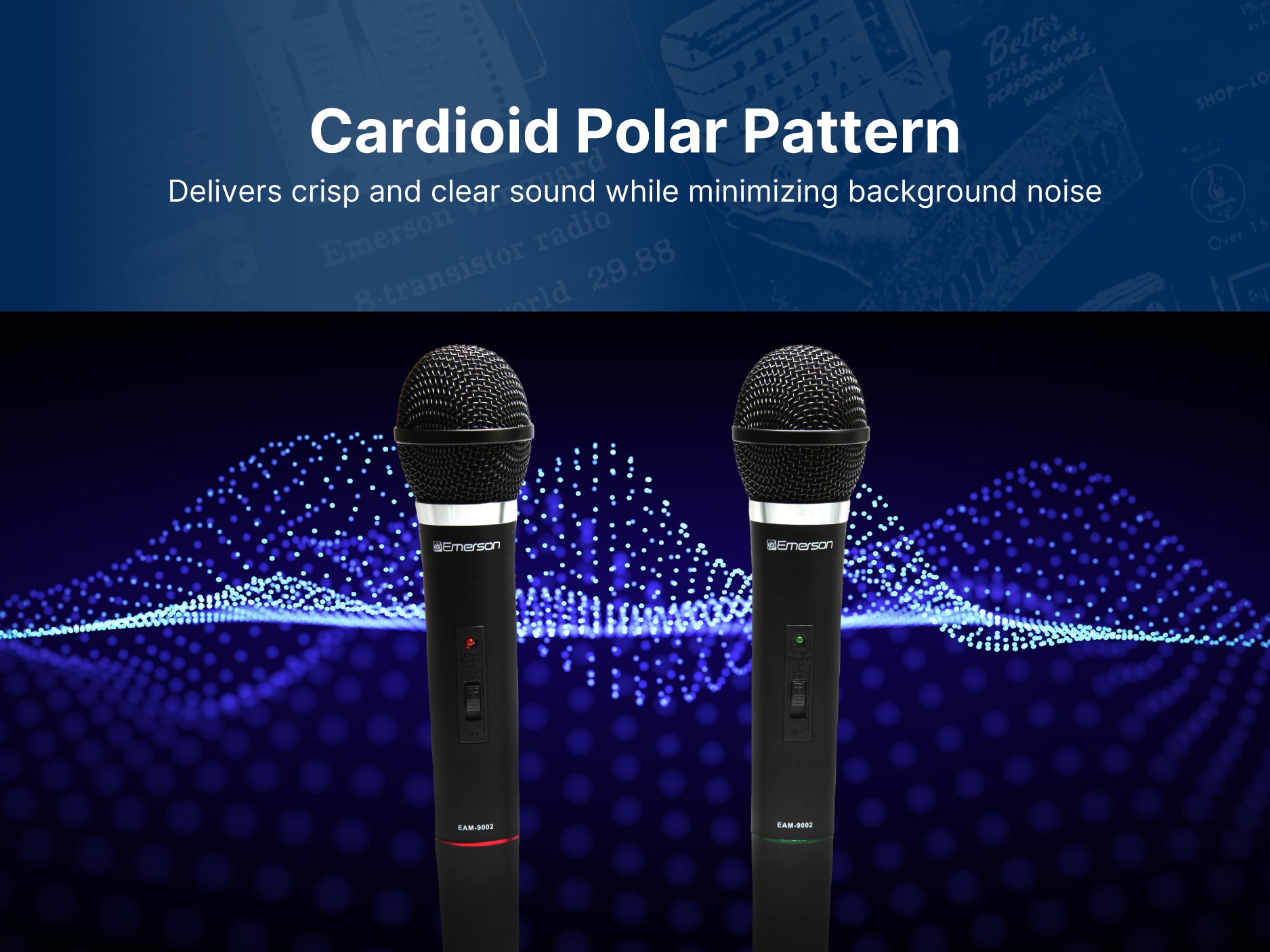 Professional Dual Wireless Microphone