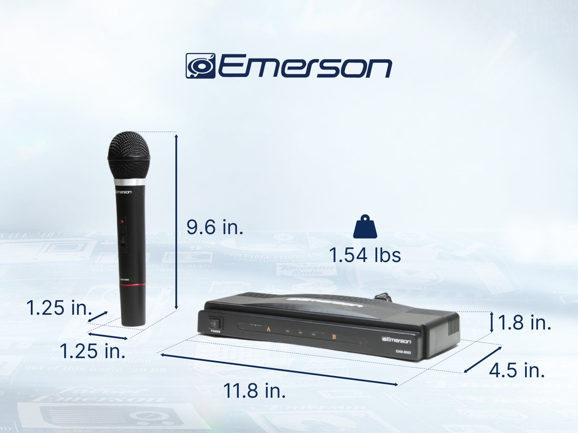 Professional Dual Wireless Microphone
