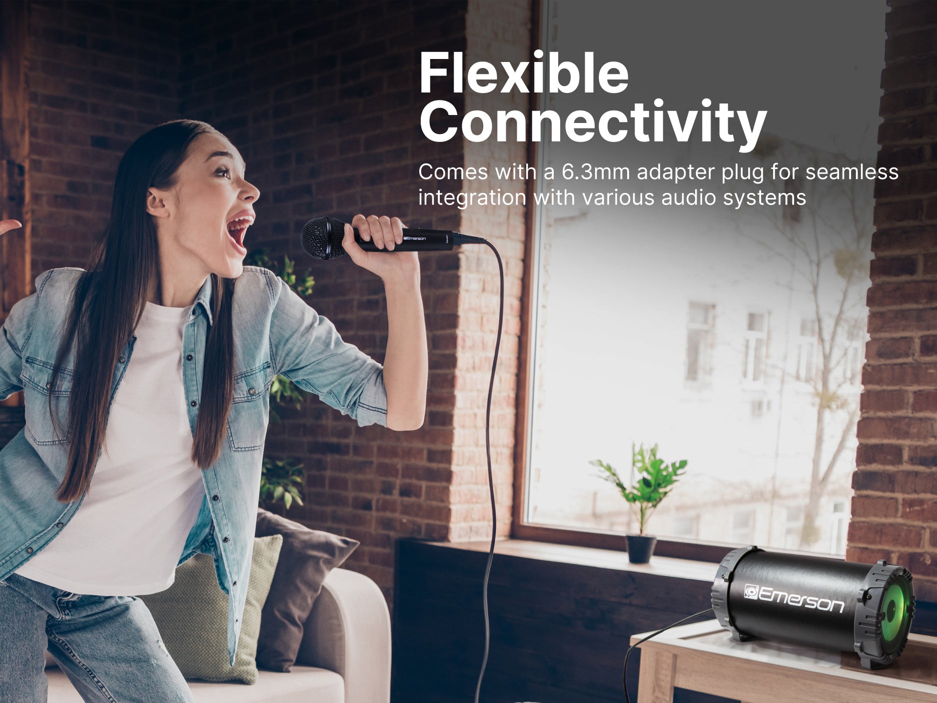 Professional Dual Wireless Microphone
