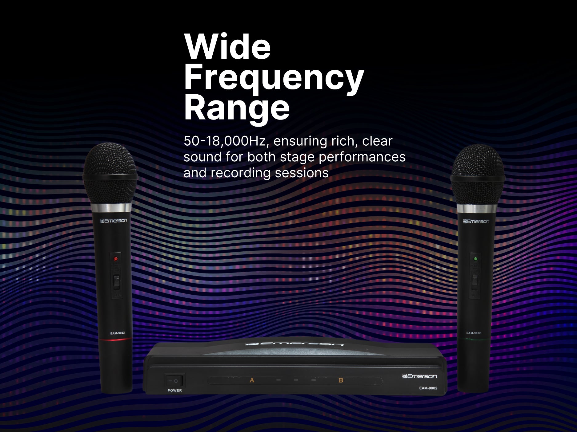 Professional Dual Wireless Microphone