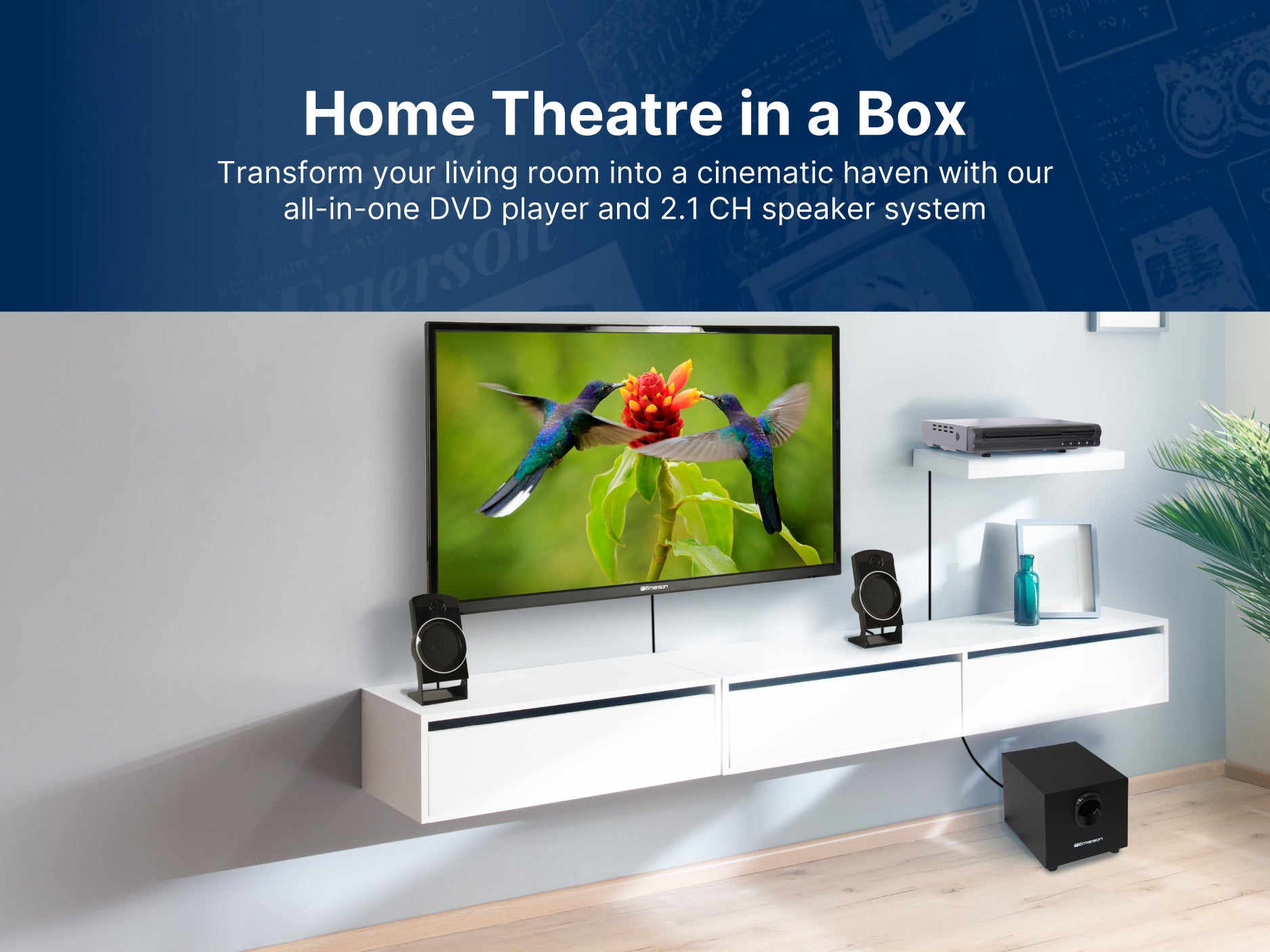 2.1 Channel Home Theater DVD Player with Speaker Surround Sound System
