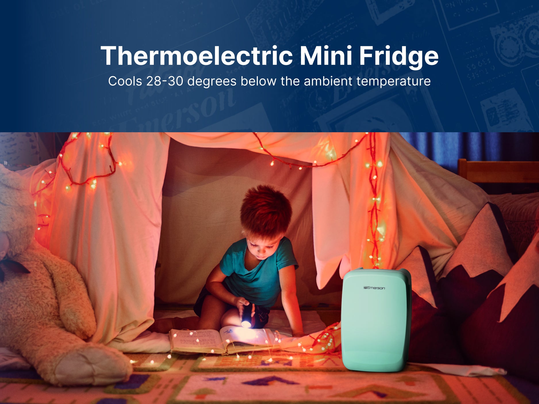 Portable Mini Fridge Cooler
