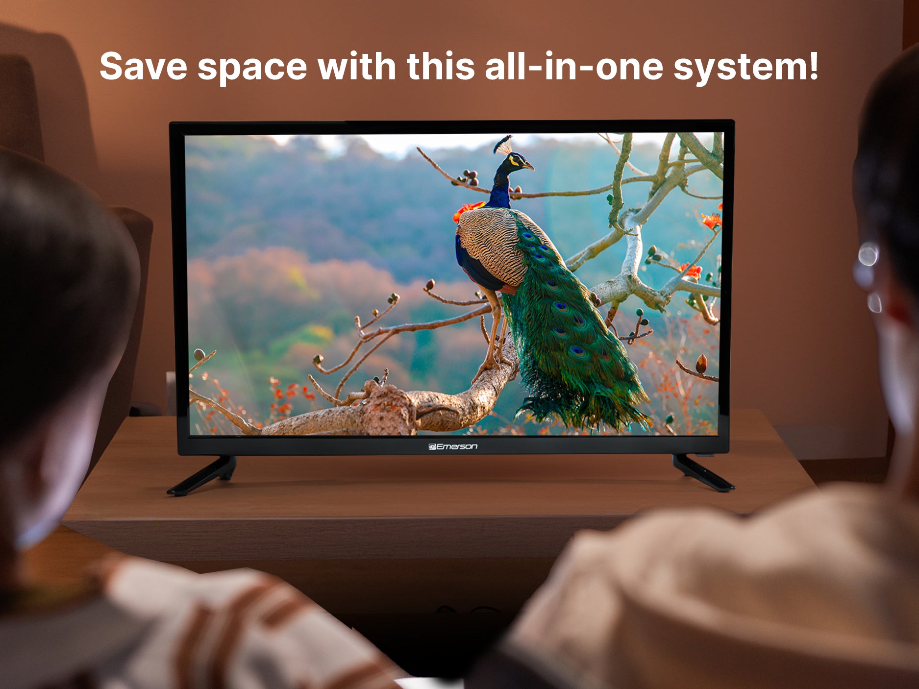 24" Class HD LED TV 
with DVD Player
