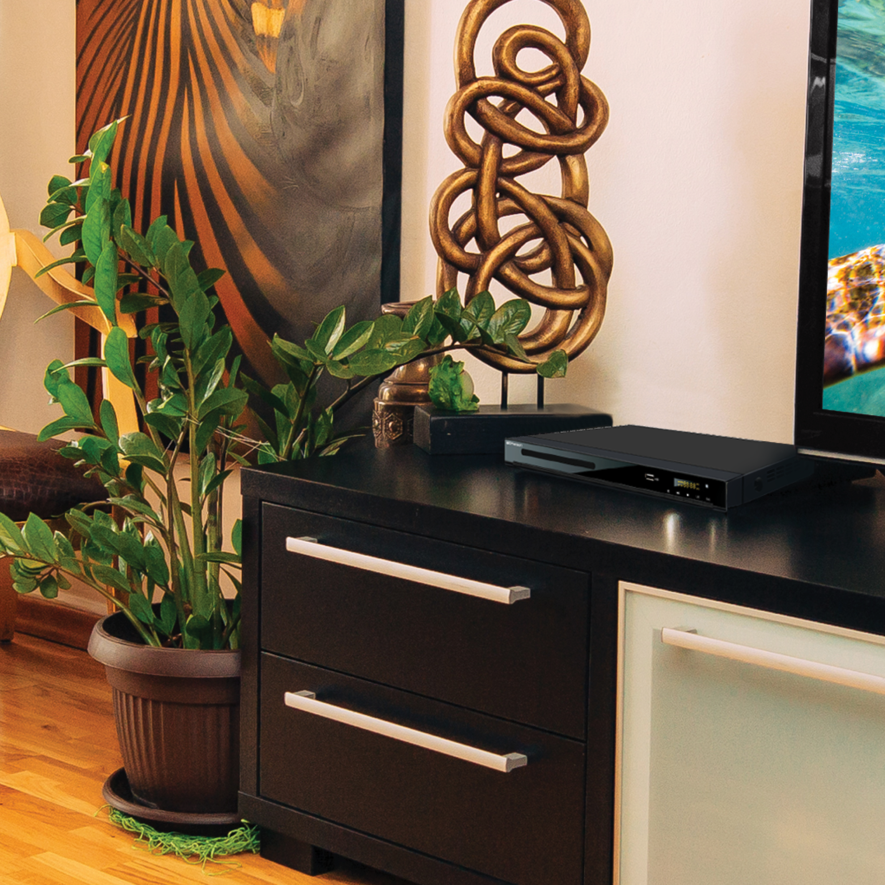 DVD Player with HD Upconversion