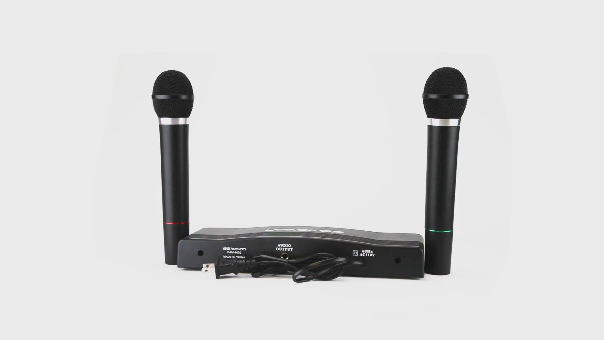 Professional Dual Wireless Microphone