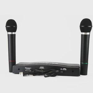 Professional Dual Wireless Microphone