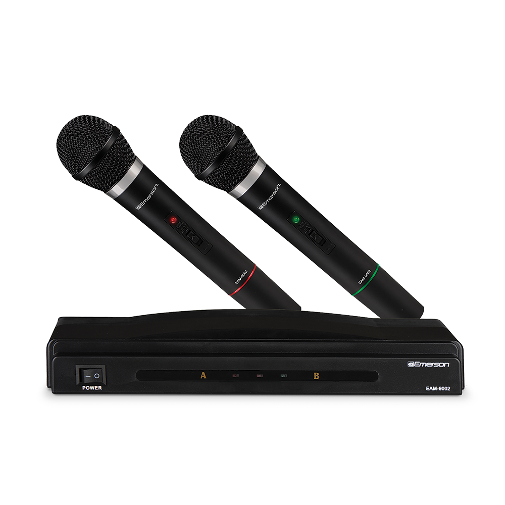 Professional Dual Wireless Microphone